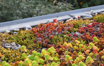 the cost of Over Stratton green roof installation