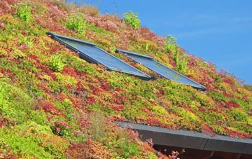 Over Stratton living roof systems