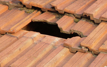 roof repair Over Stratton, Somerset
